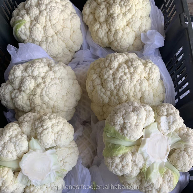 Aton Green Egypt Fresh Fruits & Vegetables